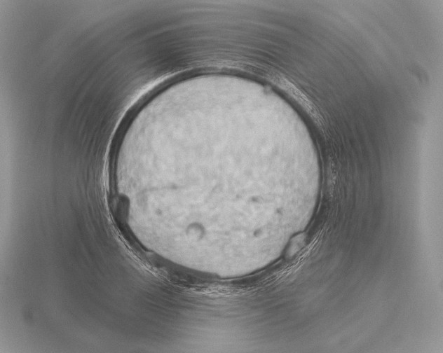 X0000115791028200912111144