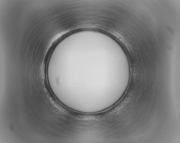 X0000115791030200912111144