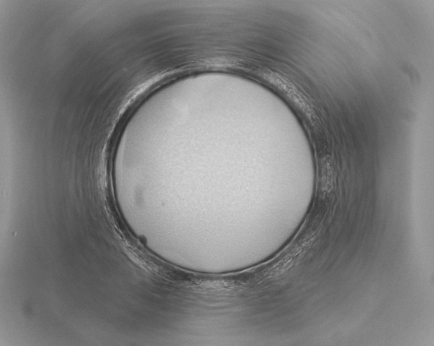 X0000115791031200912111144