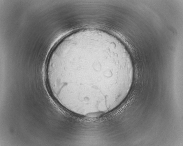 X0000115791032200912111144