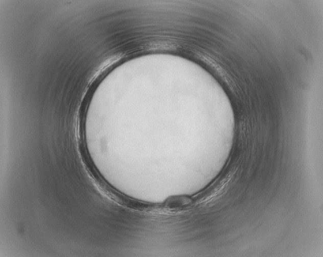 X0000115791034200912111144