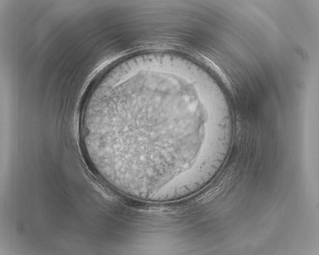 X0000115791035200912111144