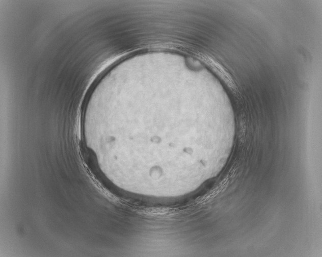 X0000115791036200912111144