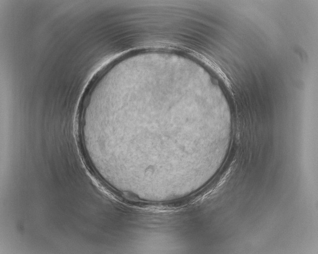 X0000115791037200912111144