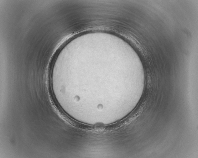 X0000115791038200912111144