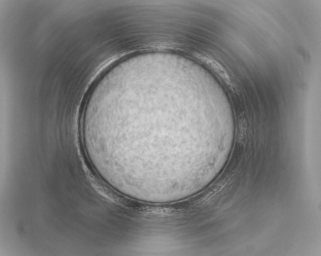 X0000115791039200912111144