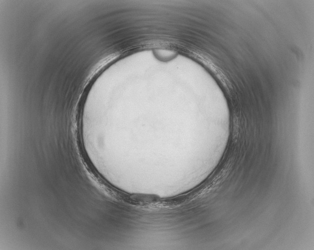 X0000115791042200912111144