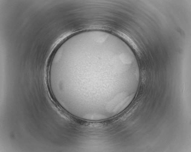 X0000115791043200912111144