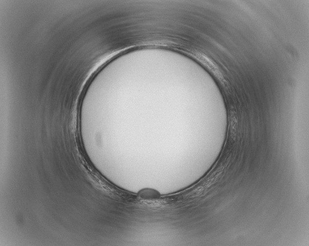 X0000115791044200912111144