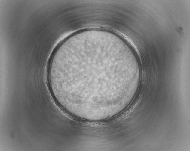 X0000115791045200912111144