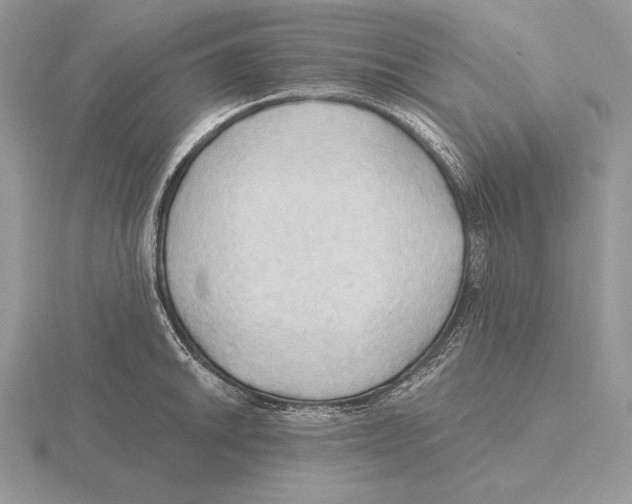 X0000115791046200912111144