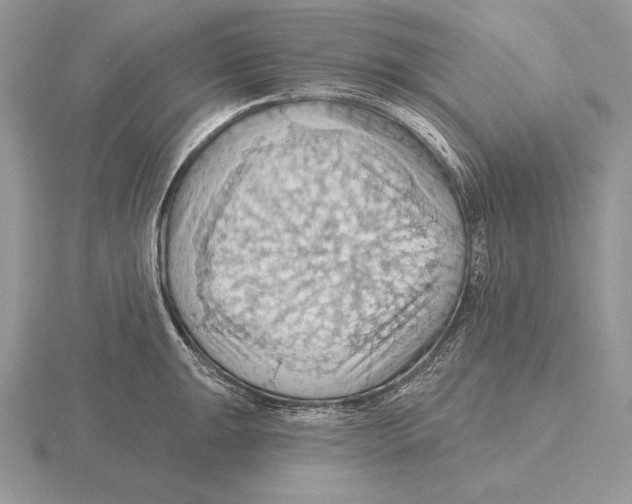 X0000115791047200912111144