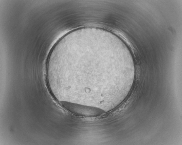 X0000115791048200912111144