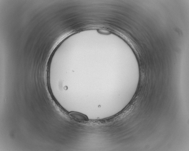 X0000115791050200912111144