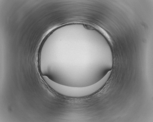 X0000115791051200912111144