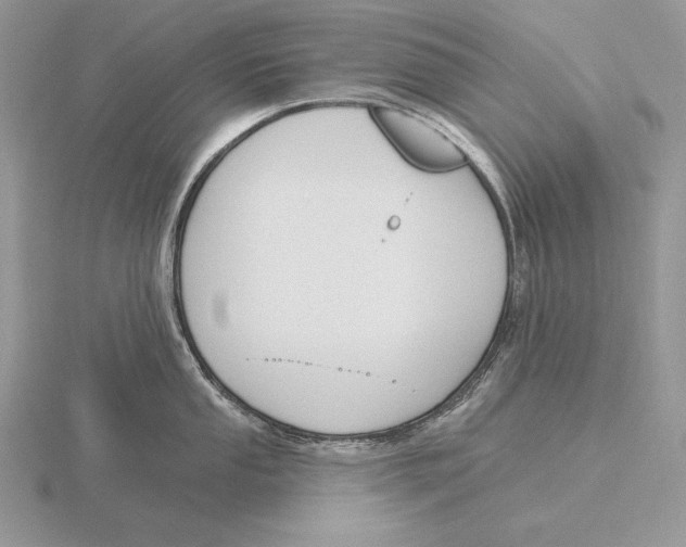 X0000115791053200912111144