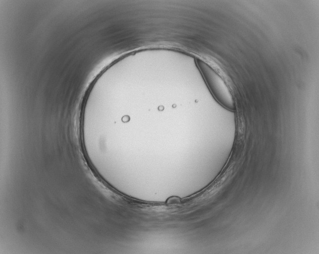 X0000115791054200912111144