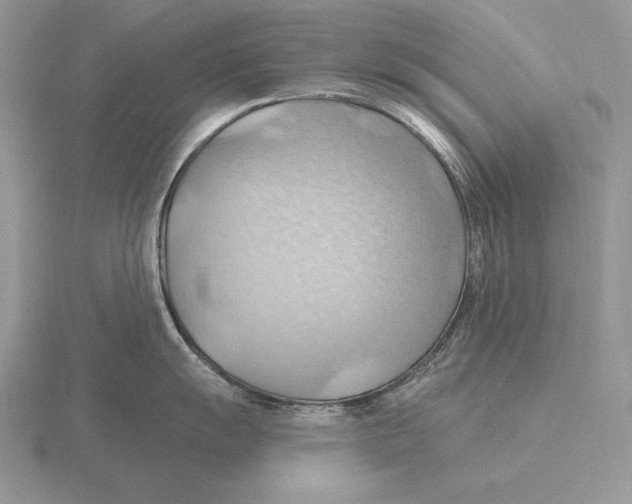 X0000115791055200912111144