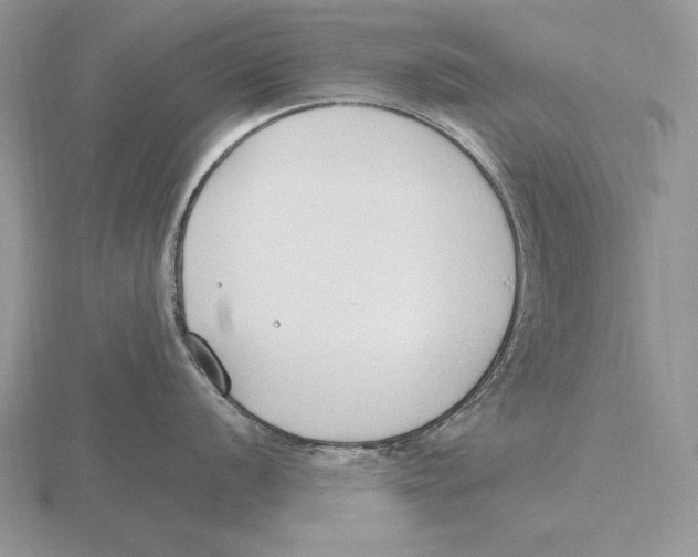 X0000115791056200912111144