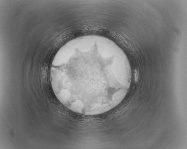 X0000115791059200912111144