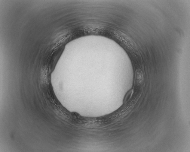 X0000115791060200912111144