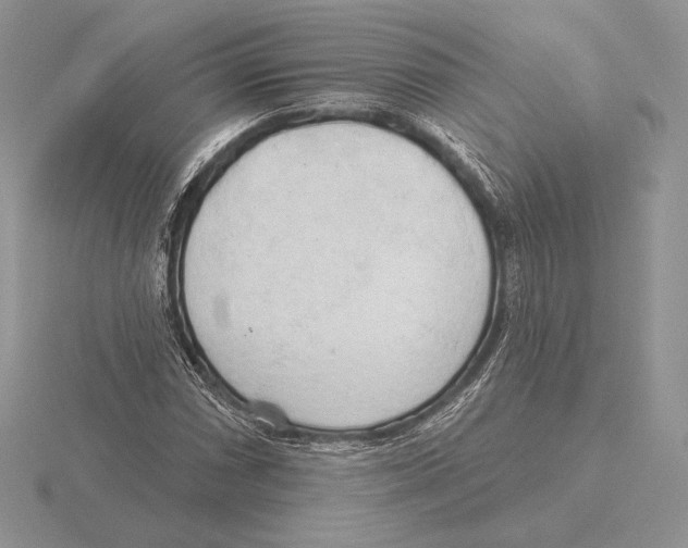 X0000115791066200912111143