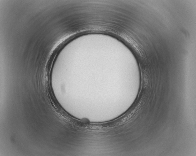 X0000115791070200912111143