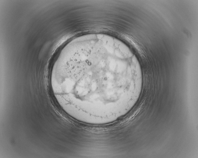 X0000115791071200912111143