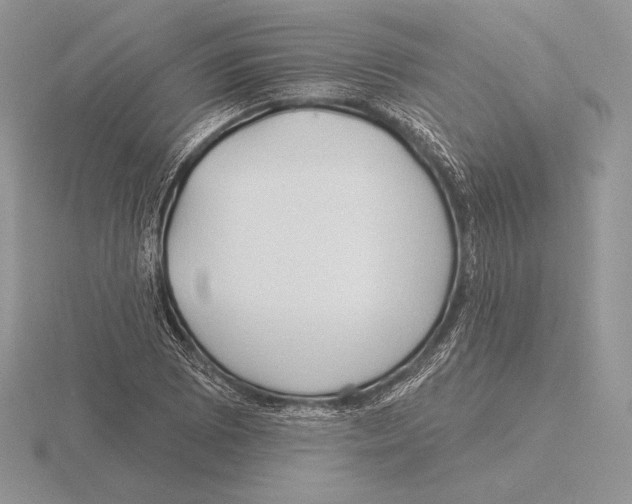 X0000115791073200912111143