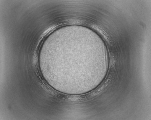 X0000115791074200912111143