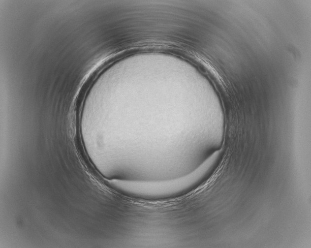 X0000115791075200912111143