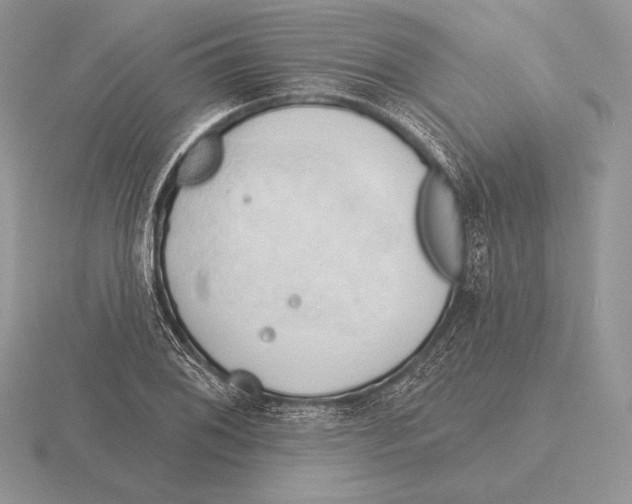 X0000115791076200912111143