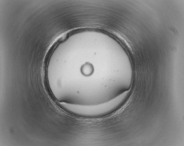 X0000115791077200912111143