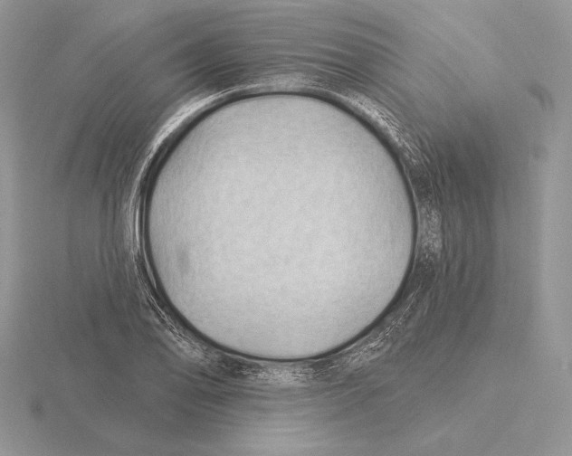 X0000115791078200912111143