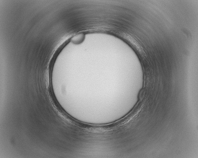 X0000115791079200912111143