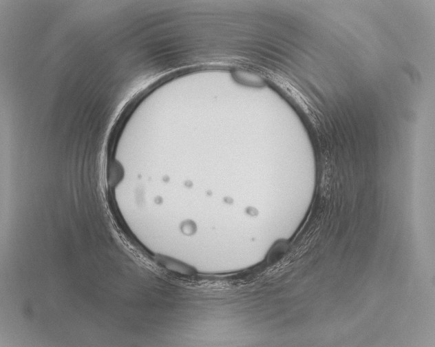 X0000115791080200912111143