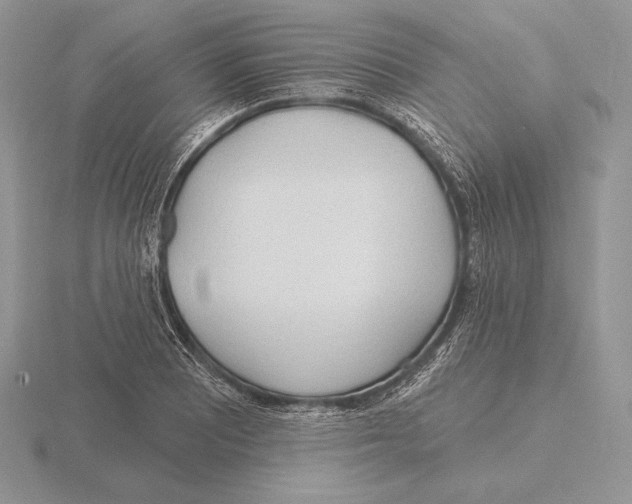 X0000115791081200912111143