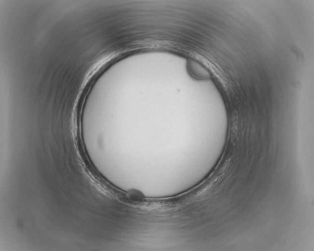 X0000115791082200912111143