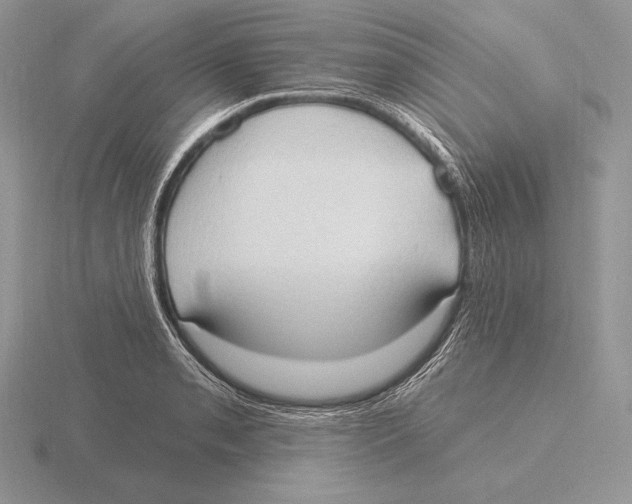 X0000115791085200912111143