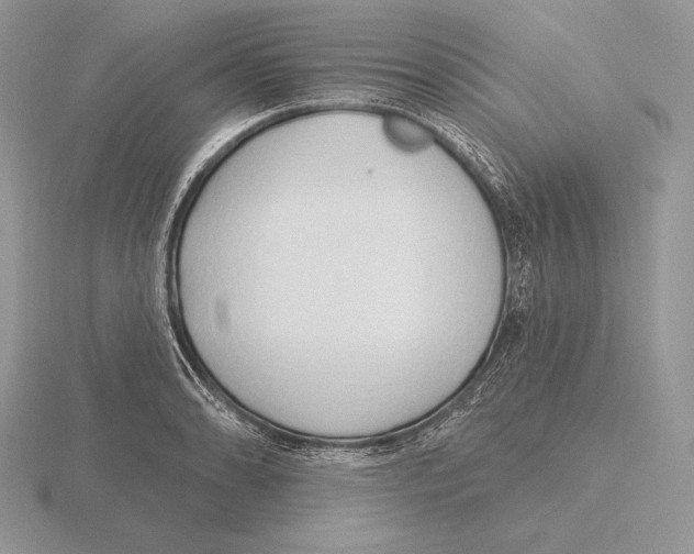 X0000115791086200912111143