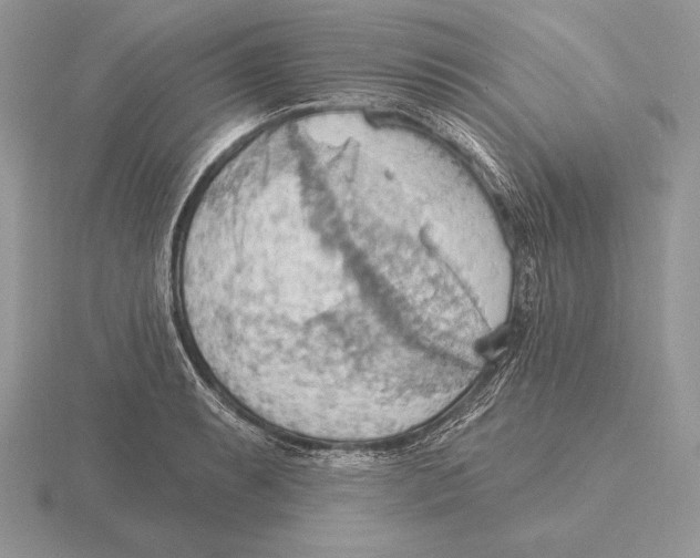 X0000115791087200912111143