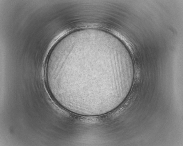 X0000115791090200912111143