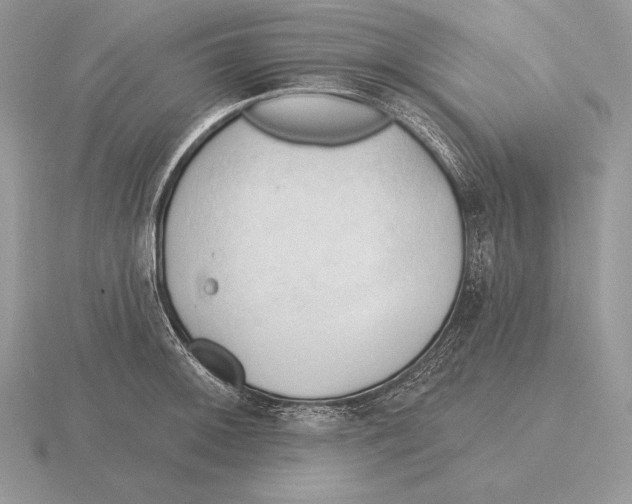 X0000115791092200912111143