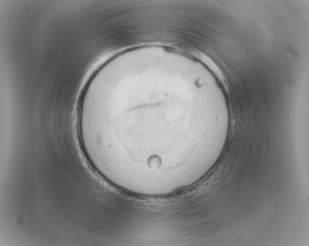 X0000115791096200912111143