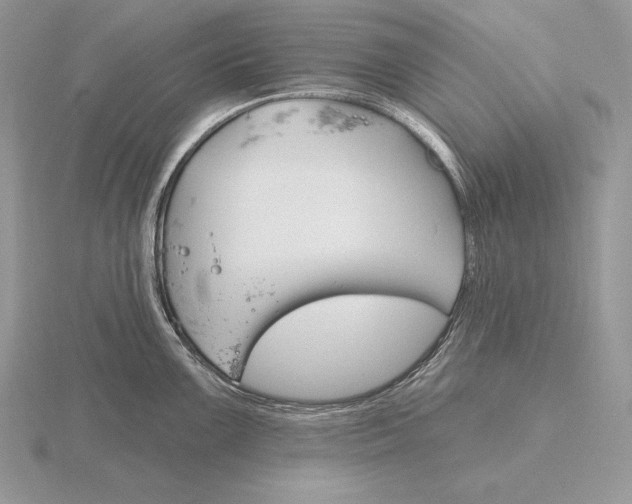 X0000115791099200912111143