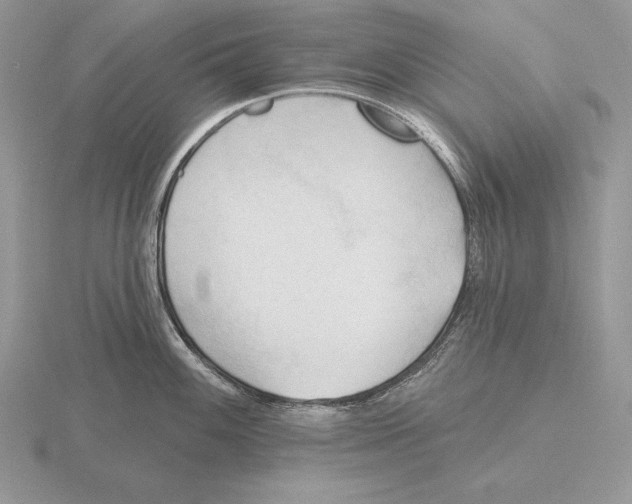 X0000115791100200912111143