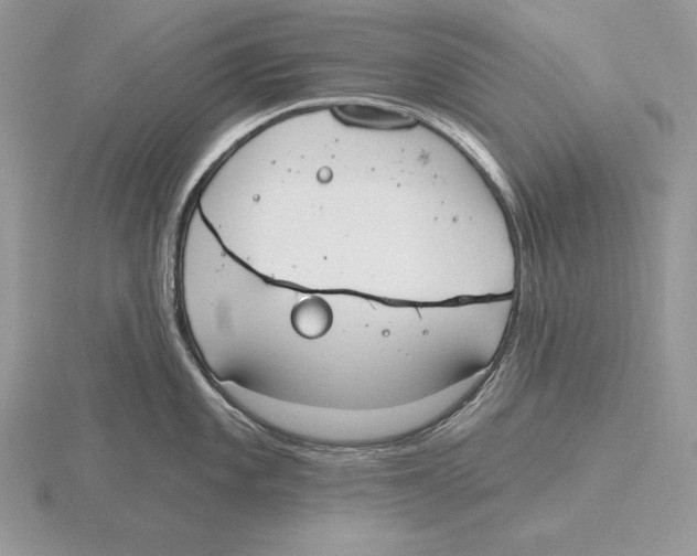 X0000115791101200912111143