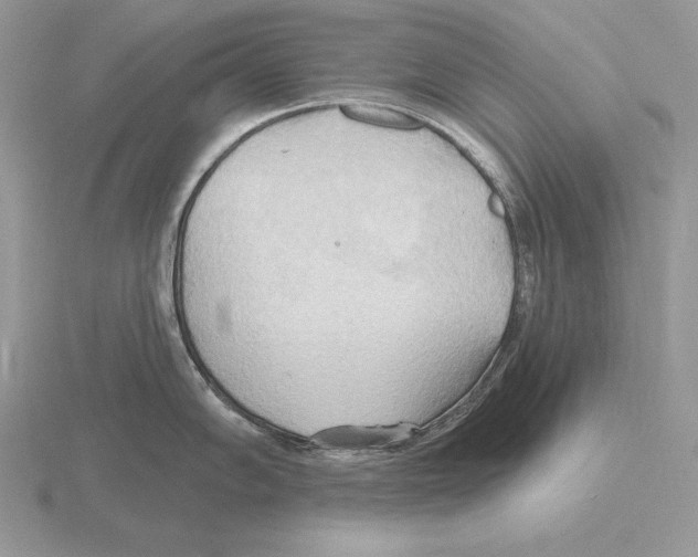 X0000115791102200912111143