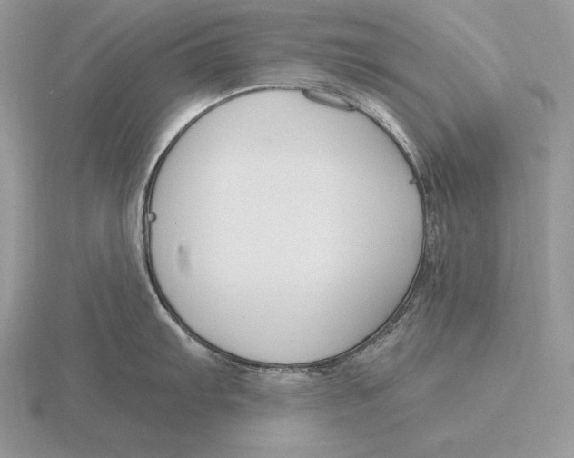 X0000115791103200912111143