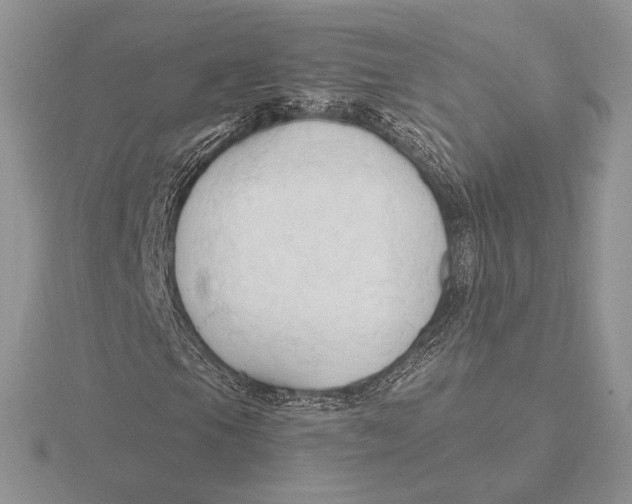 X0000115791105200912111142